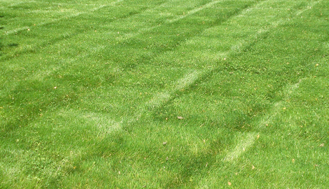 Top Cut Lawn Care Aeration